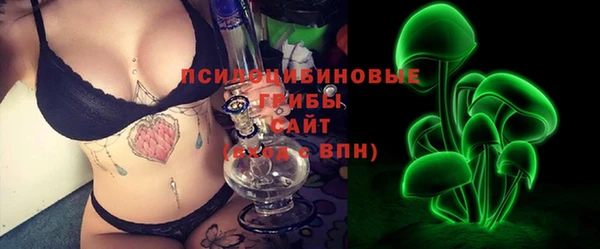 гашик Зеленокумск