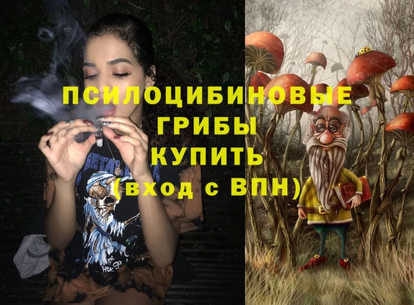 тгк Зеленодольск
