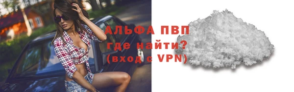 гашик Зеленокумск