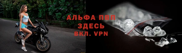 гашик Зеленокумск