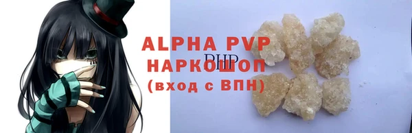 гашик Зеленокумск