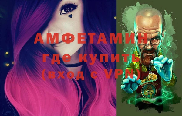 гашик Зеленокумск