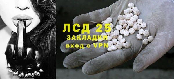 гашик Зеленокумск