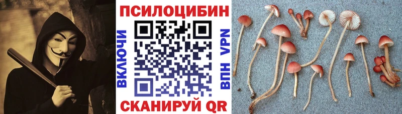 Галлюциногенные грибы прущие грибы  Купить где  Ишим 